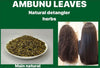 Ambunu Leaves /Ceratotheca Sesamoide